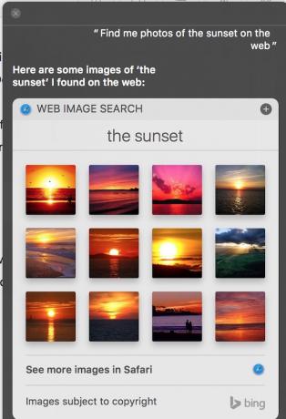 Siri Najděte fotografie západu slunce na webu