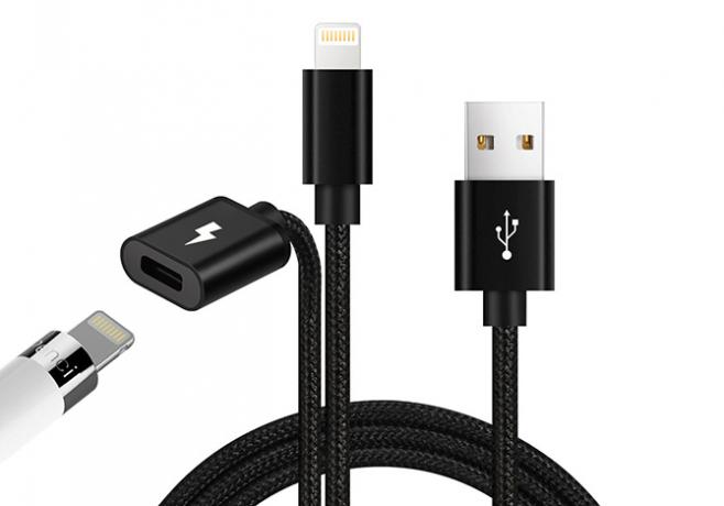 Dreamvasion 2-v-1 iPad a Apple Pencil Charger Cable