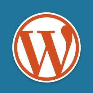 vlastní typy příspěvků v wordpress