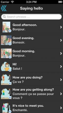 Phrasebook: Zdarma Illustrated & Talking Language Interpreter [iOS] 2