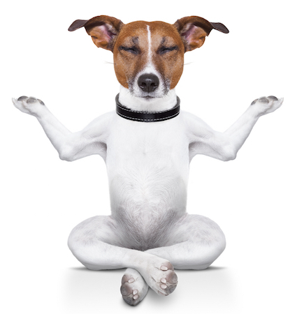 8 drobných vylepšení pro okamžitý minimalistický zážitek z prohlížeče meditatingdog