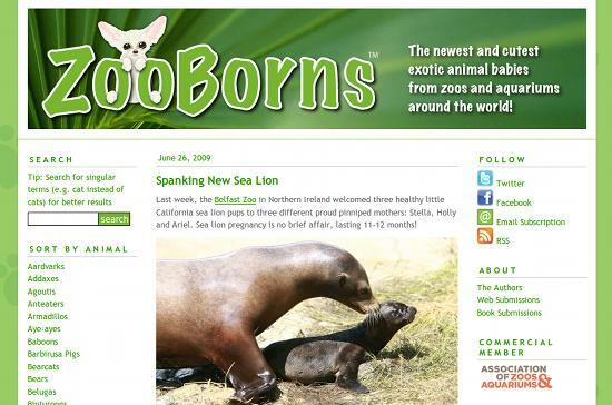 zooborns