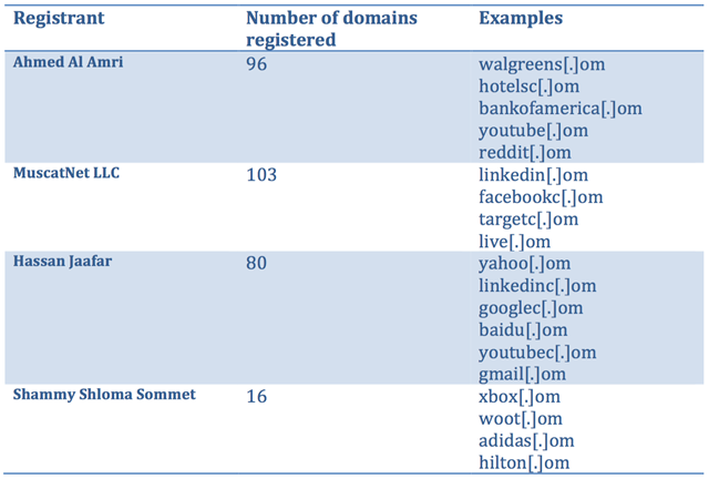 typosquatter-domain-example