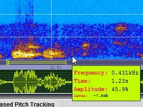 Sonogram Visible Voice - výkonný software Spectrogram Voice sono6