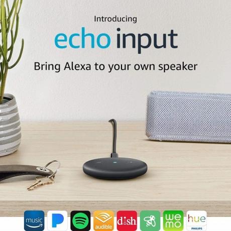 echo vstup