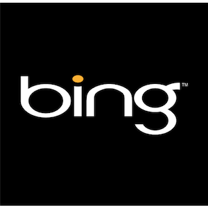 Bing představuje bezpodmínečné vyhledávání - funguje to? [Novinky] bing 1