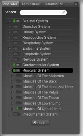 anatomie lidského těla