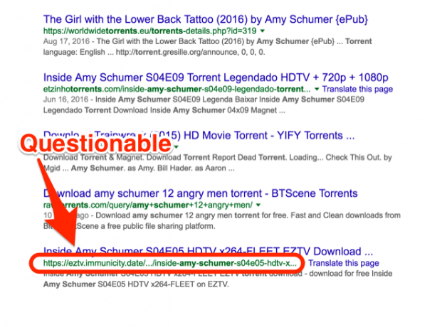 Amy Schumer Torrent URL