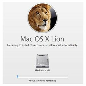 Máte potíže s instalací OS X Lion? Thumb Drives přinášejí novou naději [News] appleinstall1