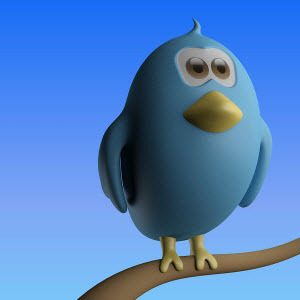 Twacked - Když se dobré účty Twitter pokazí [INFOGRAPHIC] twitterbird