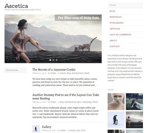 wordpress porfolio témata