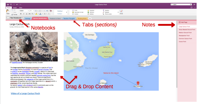 Ukázka ukázky organizace OneNote