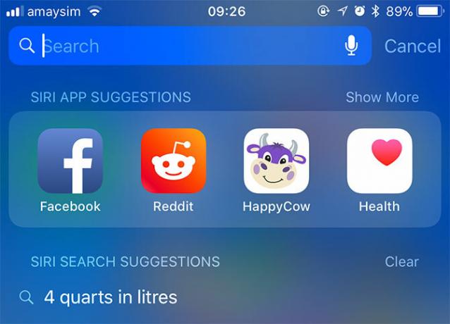 iOS Spotlight Search