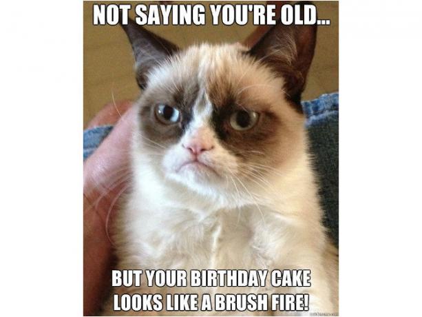 Grumpy Cat Birthday Meme