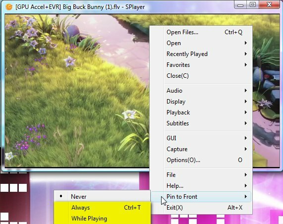 Splayer – Přenosný přehrávač médií Play-All pro Windows 8b