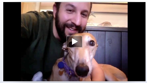 Facebook představuje videohovory pomocí Skype [News] Video Chat Dog