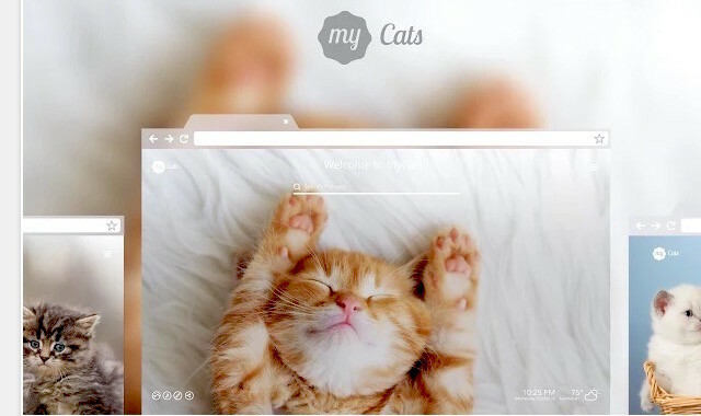 chrome-my-cats-new-tab